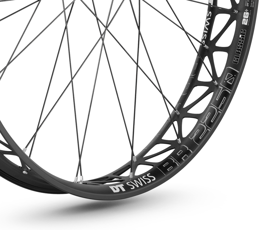 DT Swiss BR 2250 Classic 26" Fatbike Disc CL TA Shimano - immagine 5